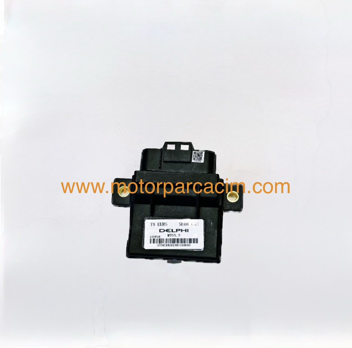 YUKİ  GP2 TARO  BEYİN